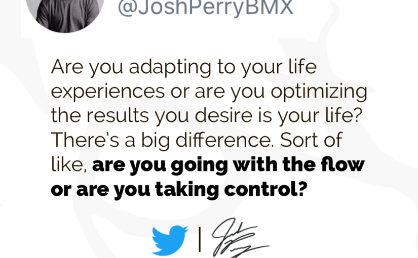 Optimize > Adapt